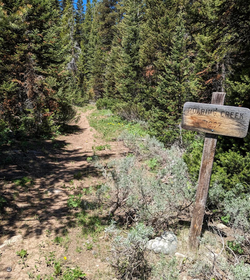 Commissary Ridge Trail sign