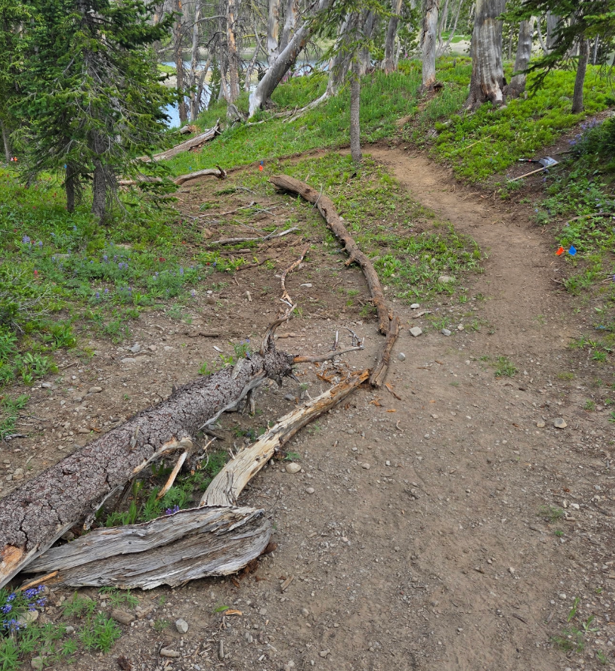 Continental Divide Trail