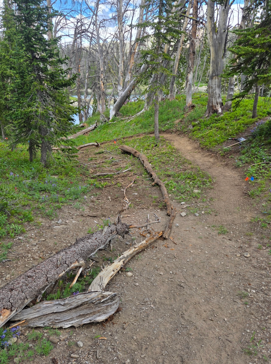 Continental Divide Trail