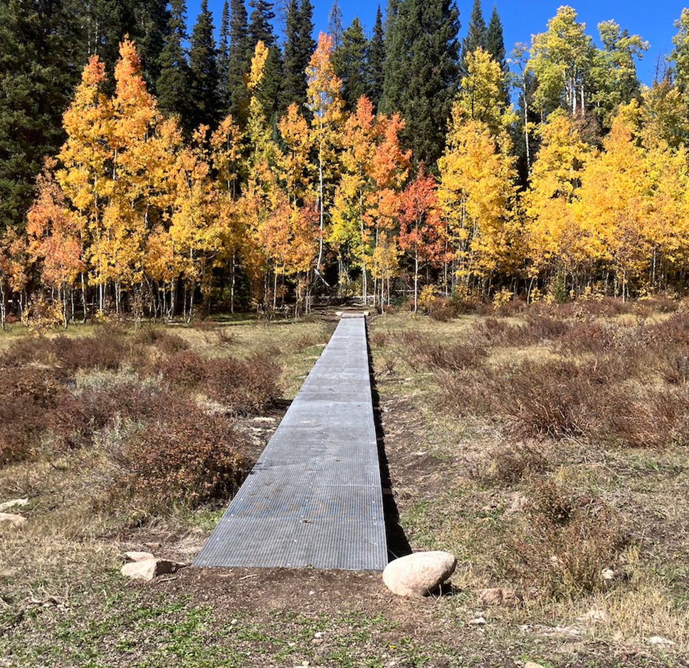 Low bridge on the Tie Hack Trail with aspens